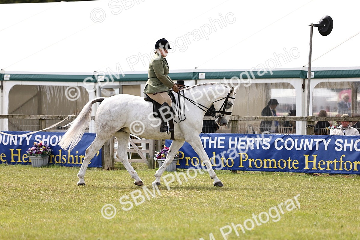 SBM_14700 - Class 88-89 - LIHS BSHA Rising Star of Ridden Hunter Type