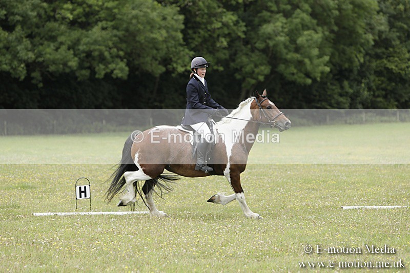 BVR160717-1388 - Class 3 Dressage 16/07/17