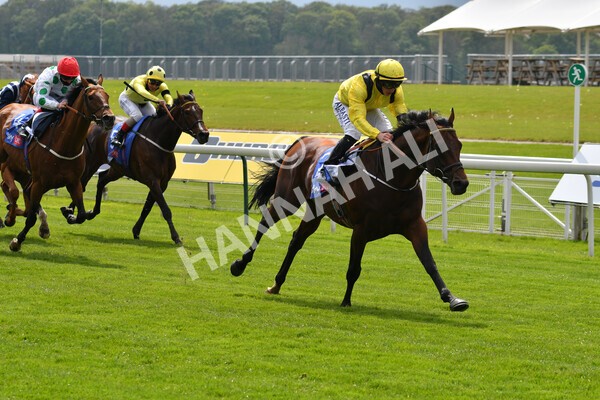 yr12052021r1-40 - Race 1 1.40pm Sky Bet Race to the Ebor Jorvik Stakes
