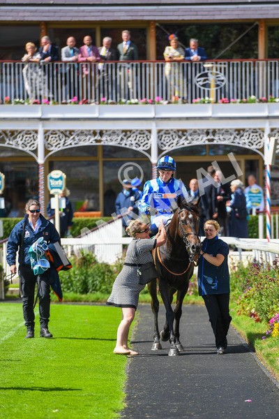 150723-Race 3-Pride of America-0325 - Race 3 3.10pm John Smith's Cup Handicap