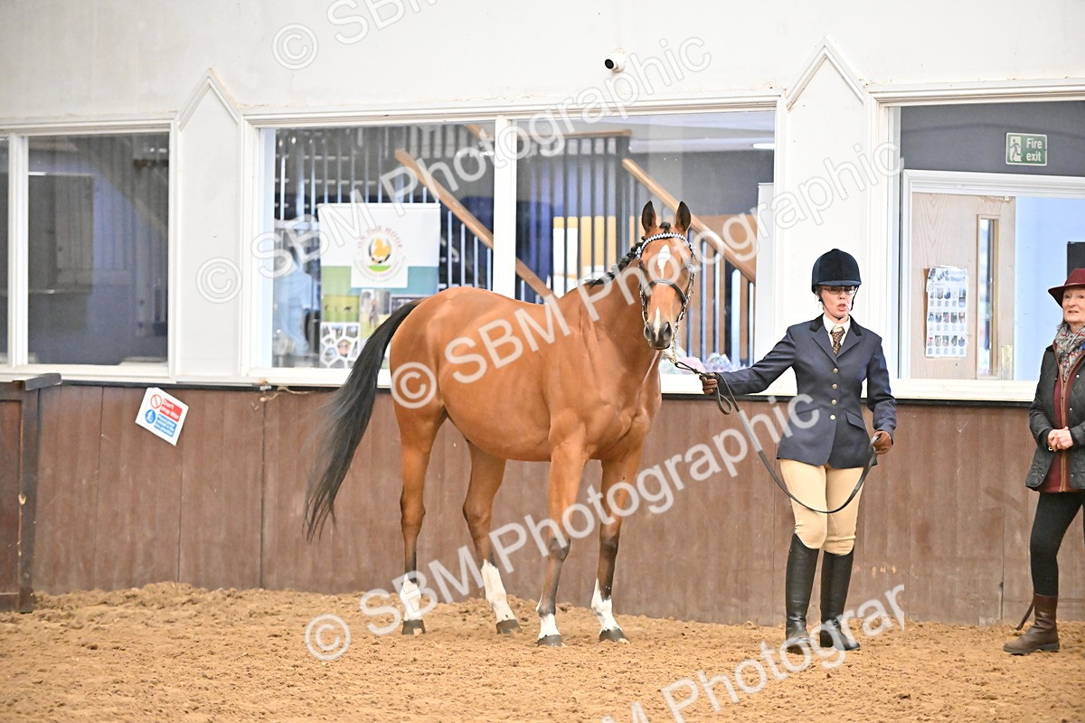 SBM_000204 - Class 7 - ROR Tattersalls In Hand