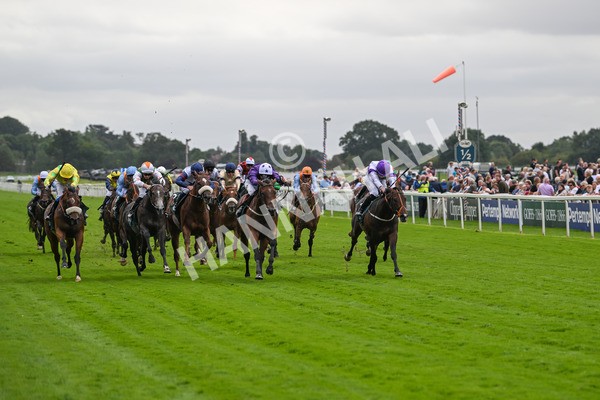 220824-Race 2-Diligently-6803 - Race 2 2.25pm Harry's Half Million By Goffs Premier Yearling Stakes