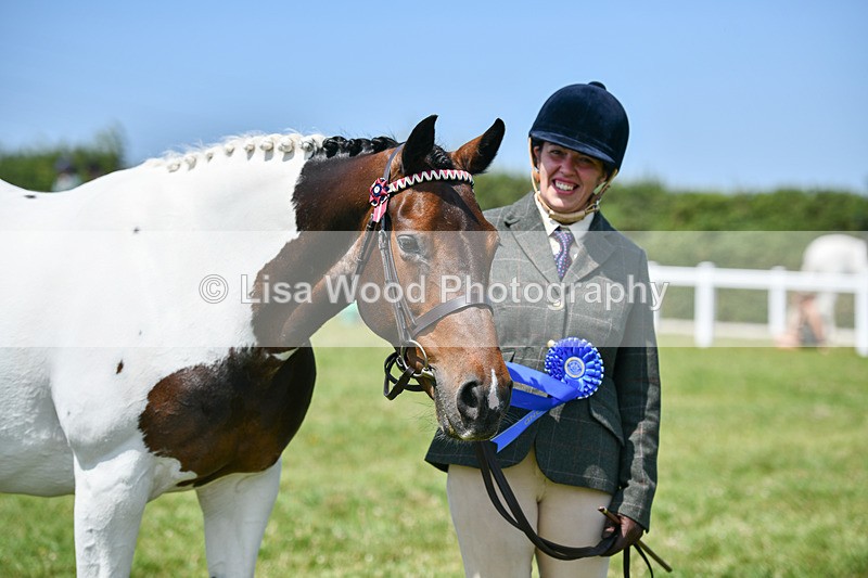 DSC_7881 - Class 65: Coloured Horse 4yrs & Over