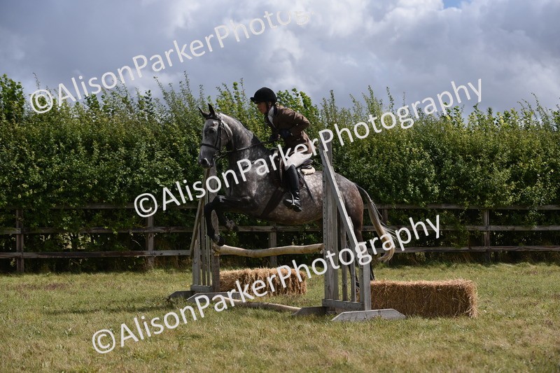 20250831-4057 - Class 13 - Working Hunter Horse or Pony