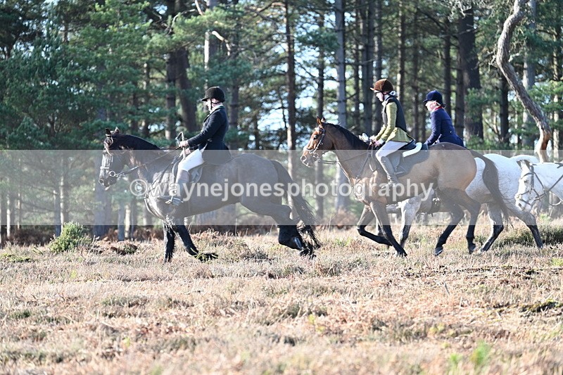 WJ7_7045 - Line 3 (no line 4 or 5)