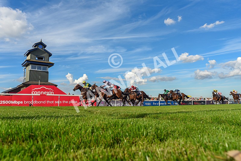 220926-Race 6-Coolree-7944 - Race 6 4.25pm Fango Handicap (Div I)