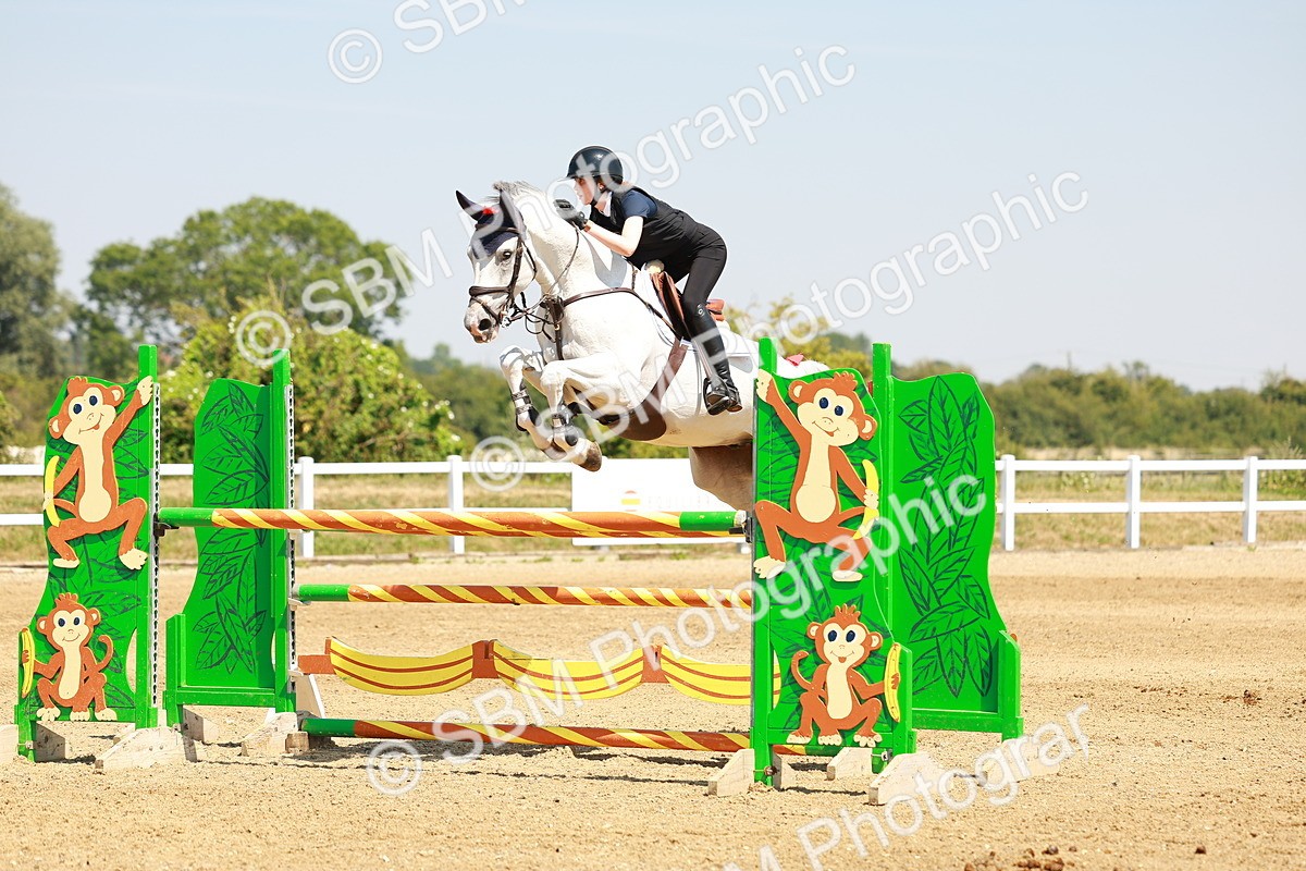 SBM_001901 - Class 5 - Senior Foxhunter - 1.20m