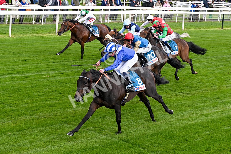 130526-Race 4-Elmonjed-0245 - Race 4 3.30pm Go Local Stores Minster Stakes