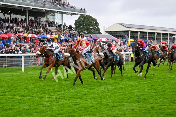 080924-Race 6-Northern Spirit-9474 - Race 6 4.35pm Hanson Springs Handicap