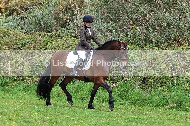 3E7A1711 - Class 9: Riding Club Horse/Pony