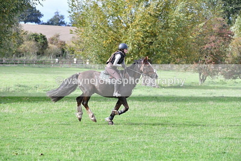 WJ5_0540 - Time 13:59 to 14:28