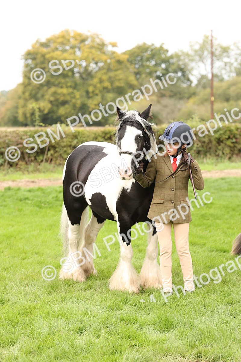 SBM_59308 - S57 - Traditional Cob In Hand