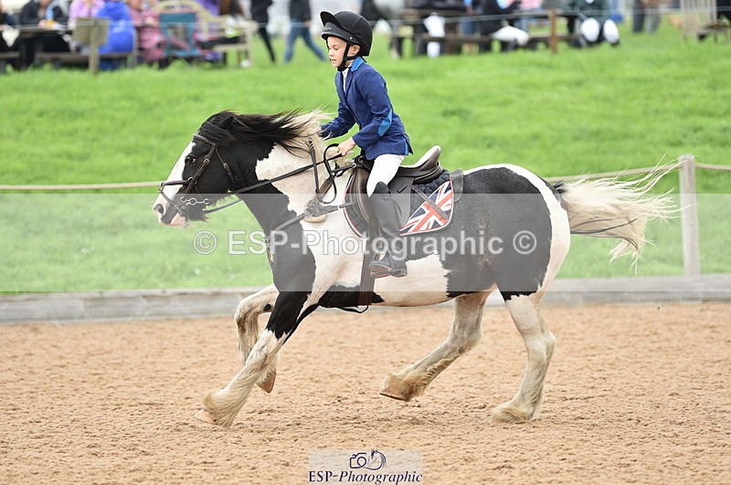 230902A-114732-00847 - Cls 2B Pony Small 80cm