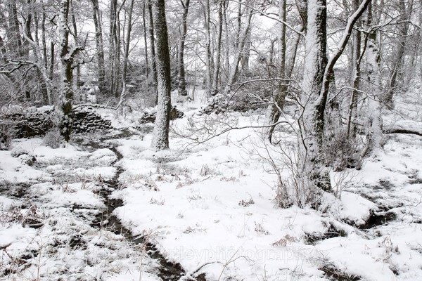  - British Landscapes