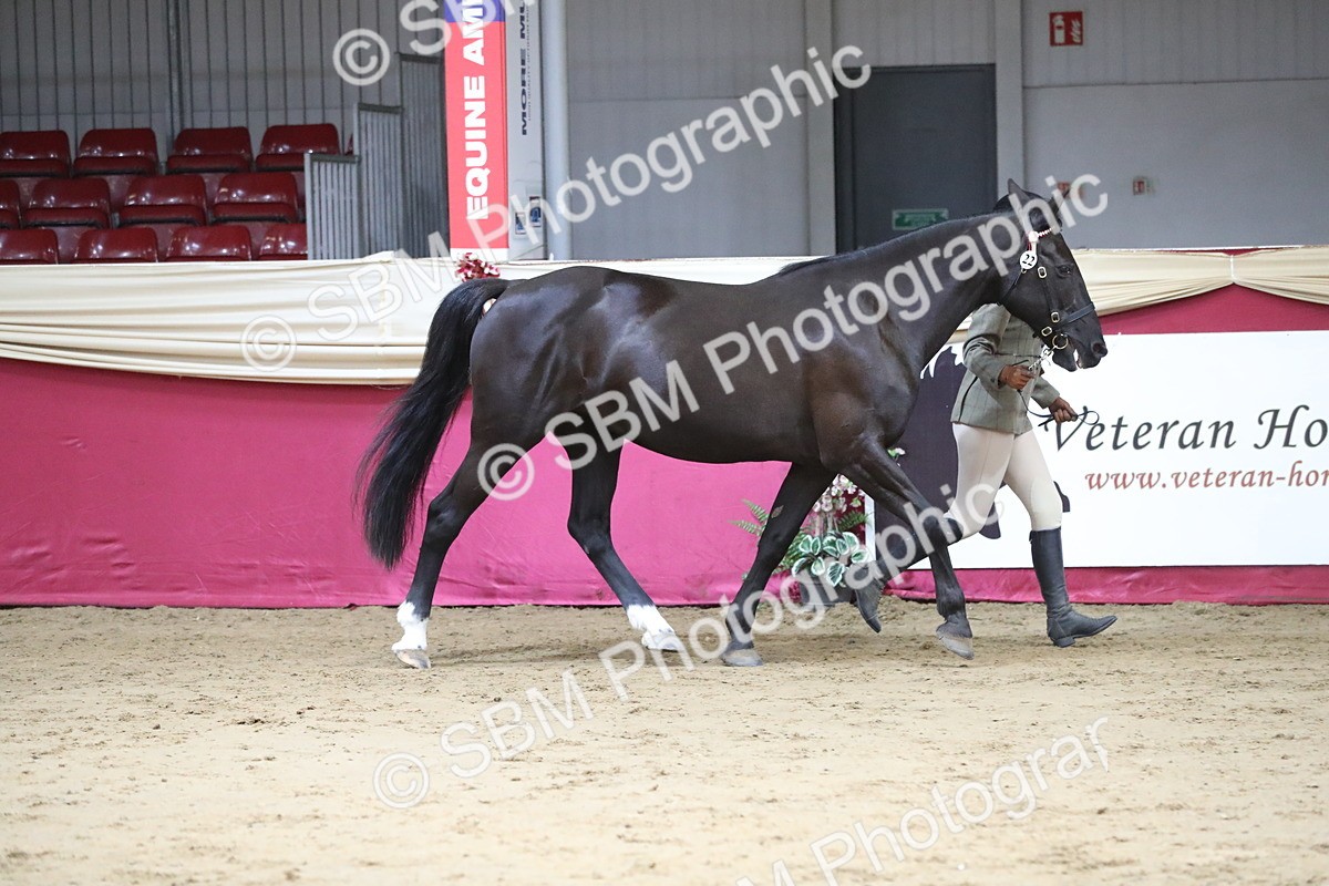 SBM_05030 - Class 8R- Regional -IH Veteran