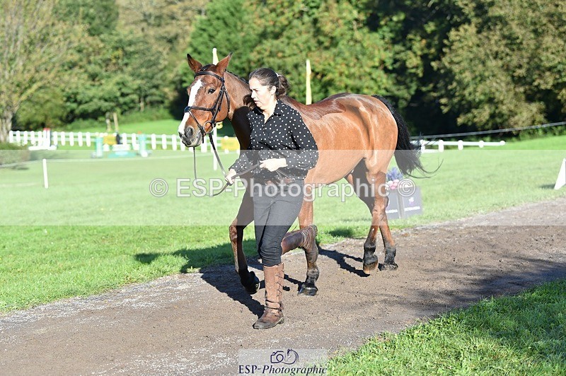 231022-101520-22349 - 470-DVΓÇÖS.ROCKY-Lauren.Collard-TrotUp+SJ