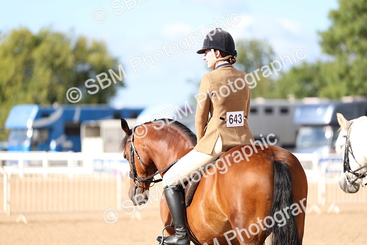 SBM_08952 - Class 302 - Ridden M&M - Large Breeds