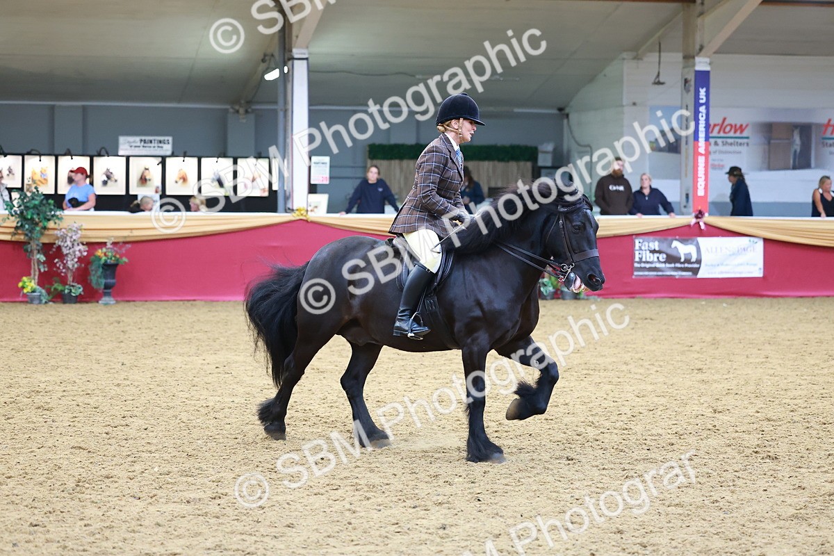 SBM_06237 - Class 12R - Ridden Pre-Vet