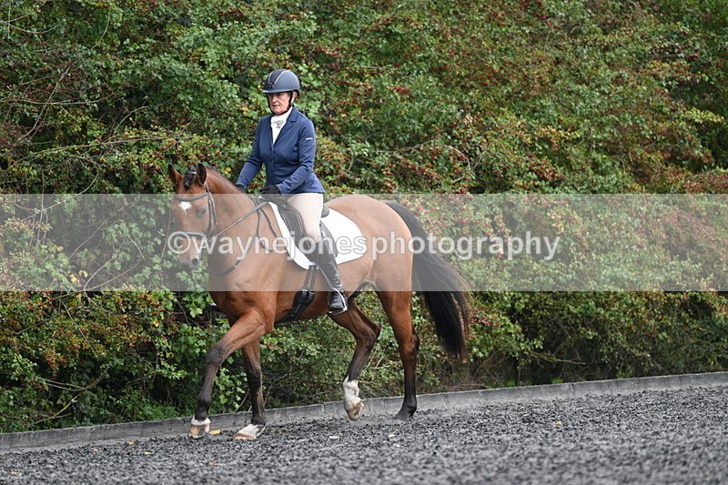 WJ7_4301 - Time 11:43 to 12:09