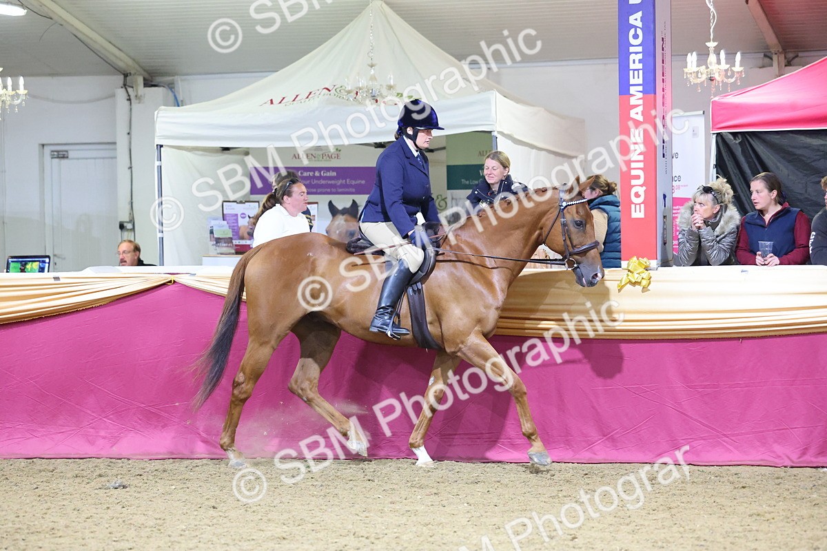 0B8A4276 - Class 108Ridden Retired Racehorse- Final Judging