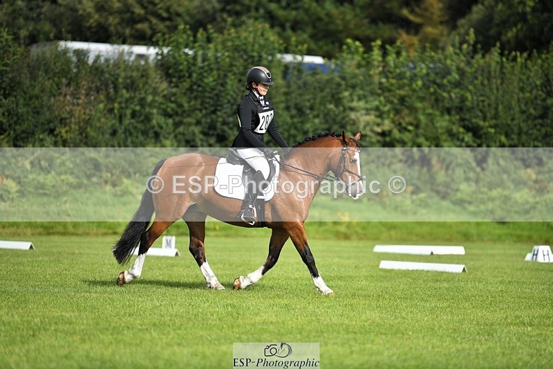 230826-094655-15229 - Sections C & D 9 to 10am