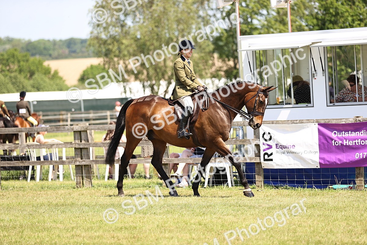 SBM_15019 - Class 79-80 - LIHS BSHA Rising Star Ridden Hunter