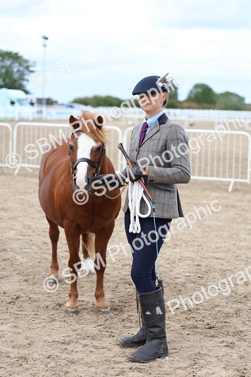SBM_05902 - Class 29 - IH Veteran Pony
