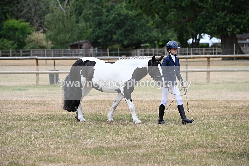 WJ6_4565 - Class 10 Coloured In-hand