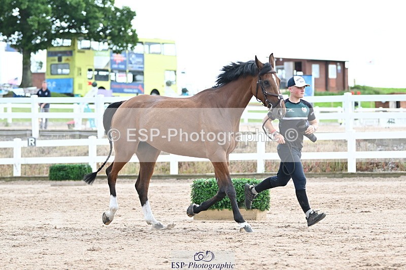 240717A-143701-02153 - Trot Up 2pm to 3pm - This folder is not in time order