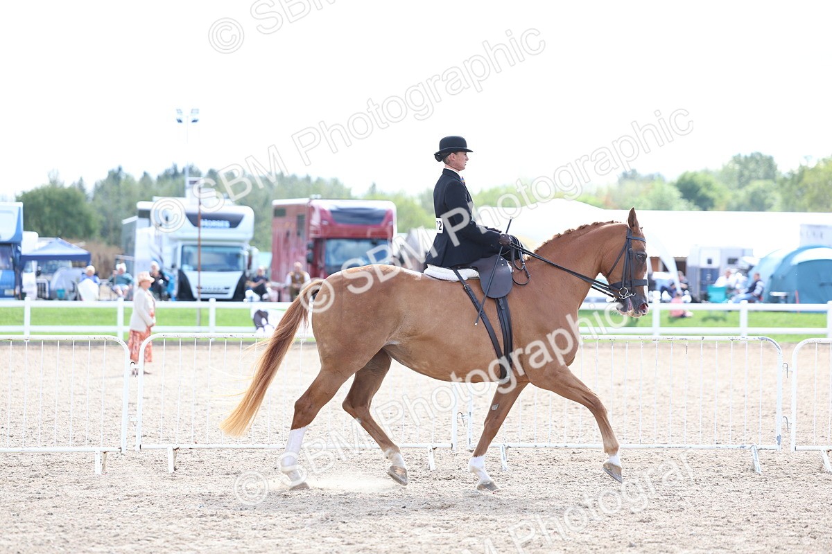 SBM_17102 - Class 315 - Best Horse - Rider Combination