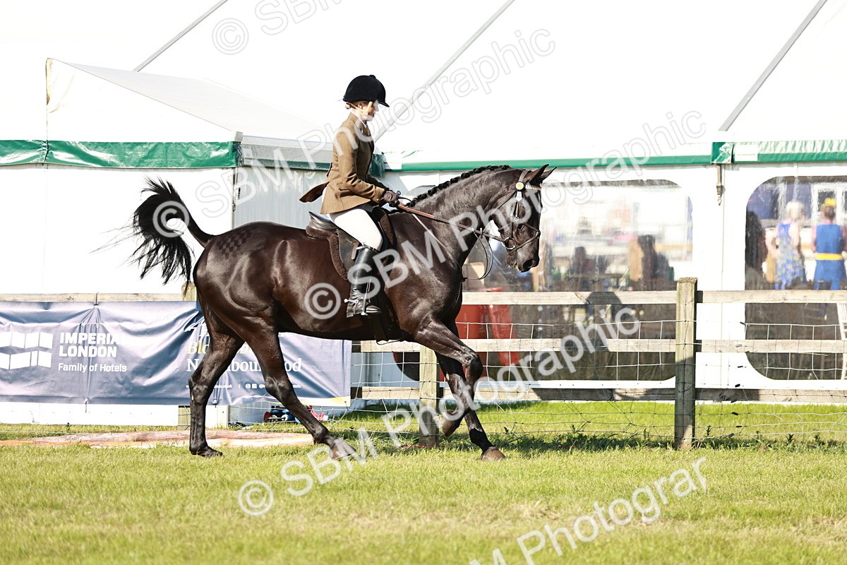 SBM_19232 - Class 115-116 - LIHS BSHA Rising Star Working Hunter & Show Horse