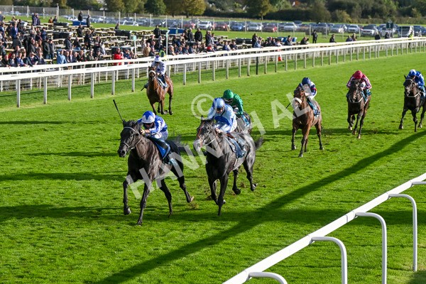 111024-Race 6-Fondo Blanco-2124 - Race 6 4.20pm William Hill EBF Novice Stakes