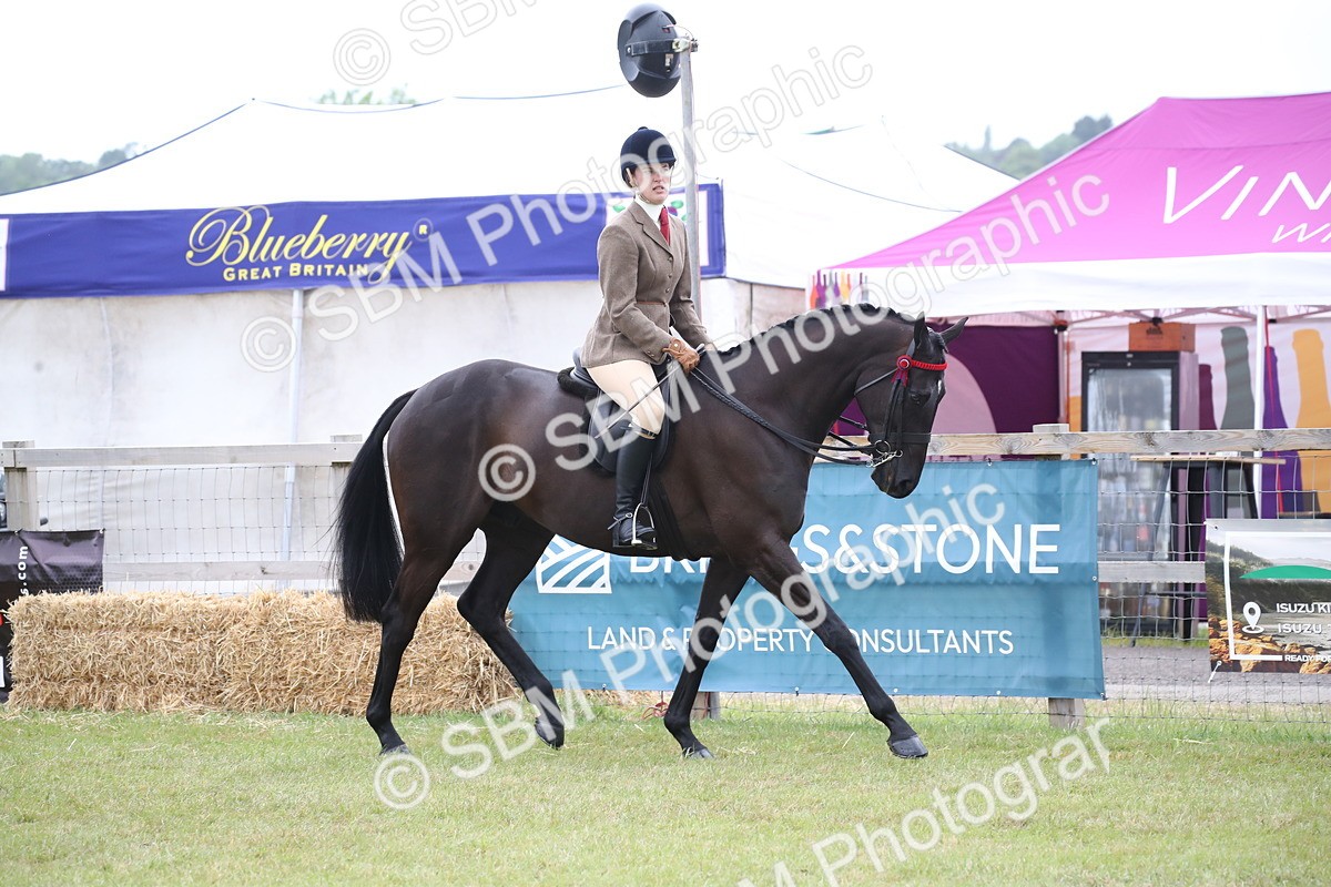 SBM_11415 - Class 94 - LIHS BSHA Racehorse to Showhorse