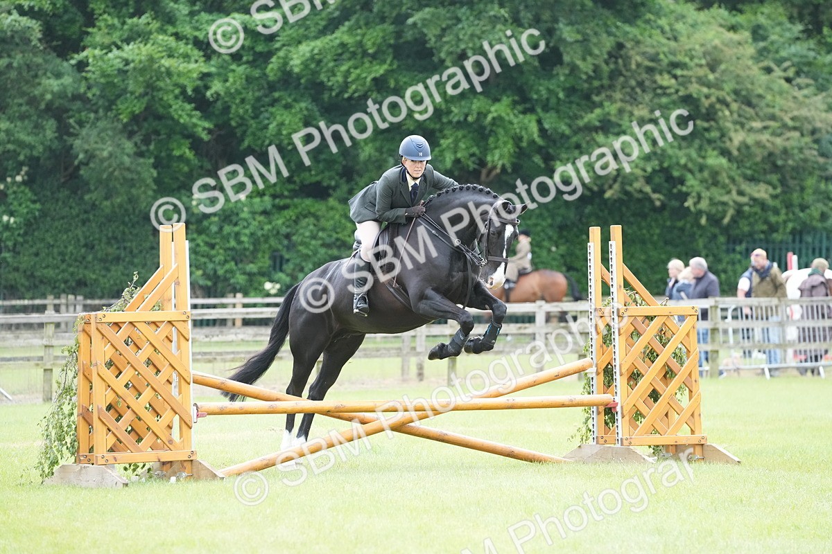 SBM_12571 - Class 97-98 - LIHS BSHA Rising Star Working Show Horse Hunter