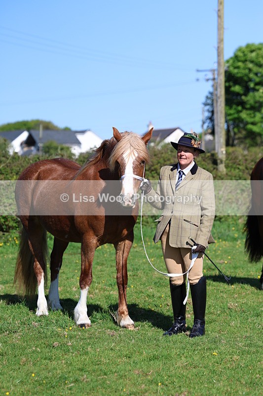 3E7A8612 - Class 13: M & M Large Breeds