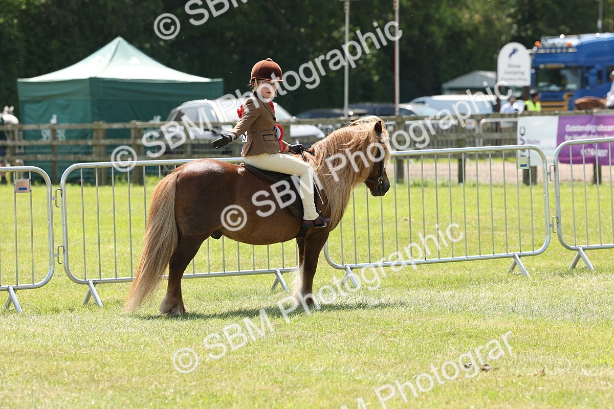 SBM_05386 - Class 24-25 - Mountain & Moorland In Hand Lead Rein and First Ridden
