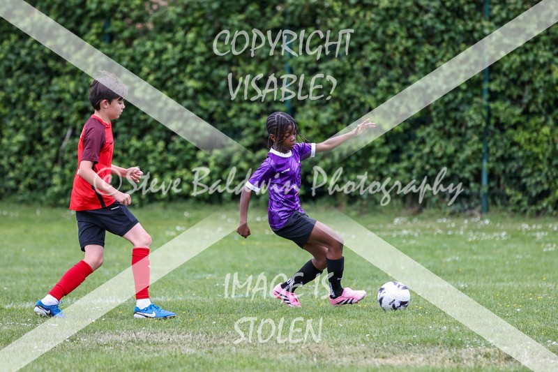 1DX31077 - Brook Field V Goddard Park