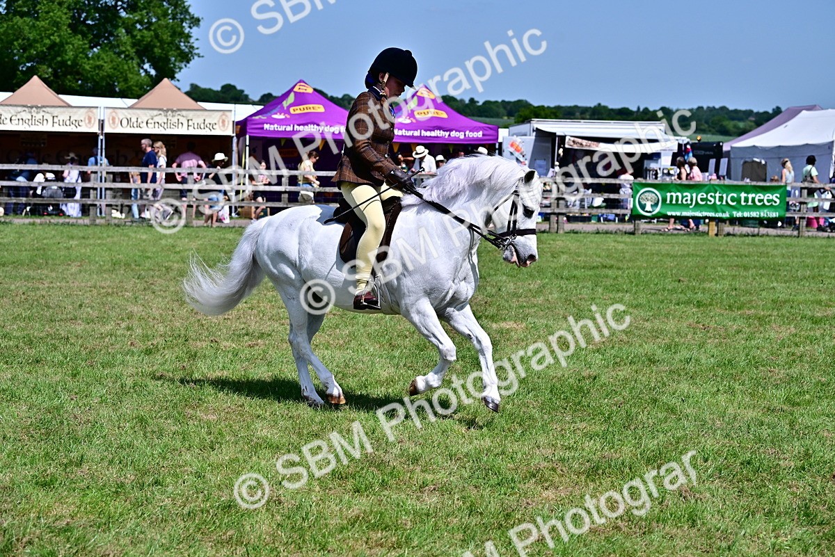 SBM_07792 - Class 61-62 - TSR  M&M Ridden Amateur of the Year