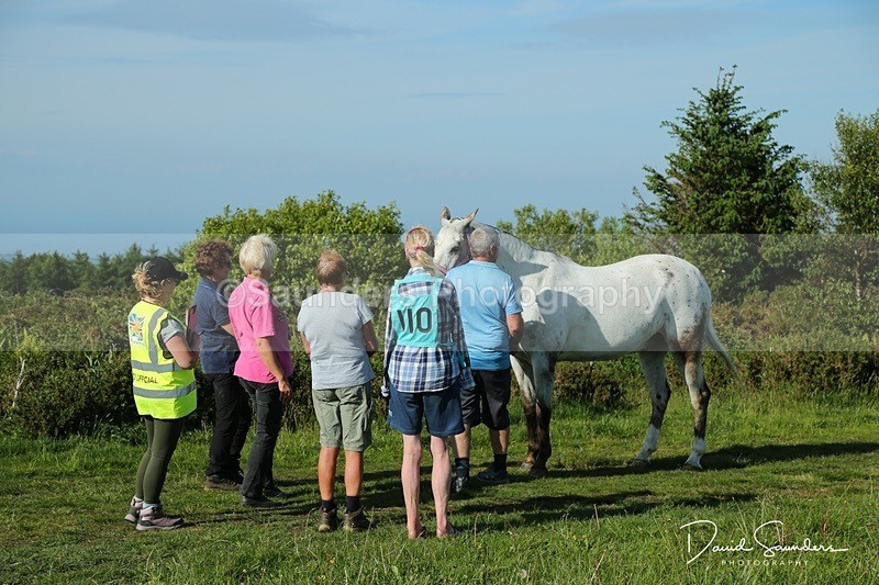 DSPX2117 - Friday vetting