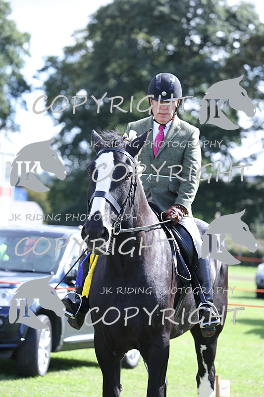 APP_3674 - Class 8 Ridden Class