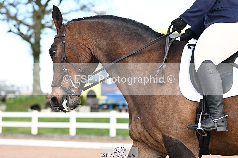 240324A-133755-03710 - Novice 27, 12.30 to 13.50