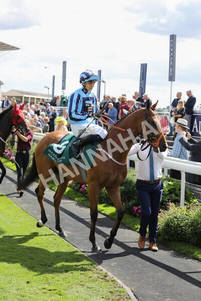 yr19082022r2-22 - Race 2 2.25pm Weatherbys Hamilton Lonsdale Cup (British Champions Series Race)