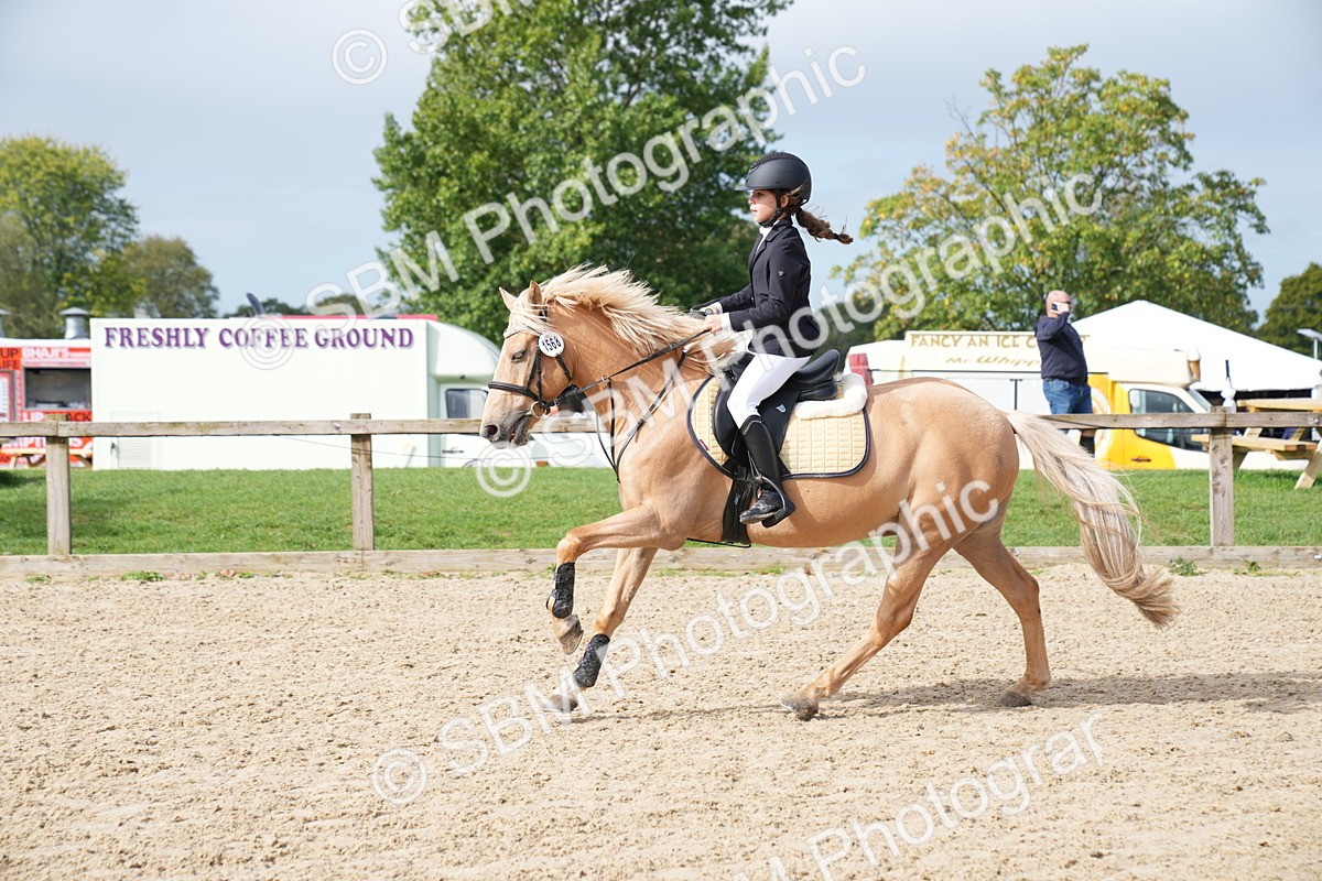 SBM_03277 - J55 - Clear Round 60cm