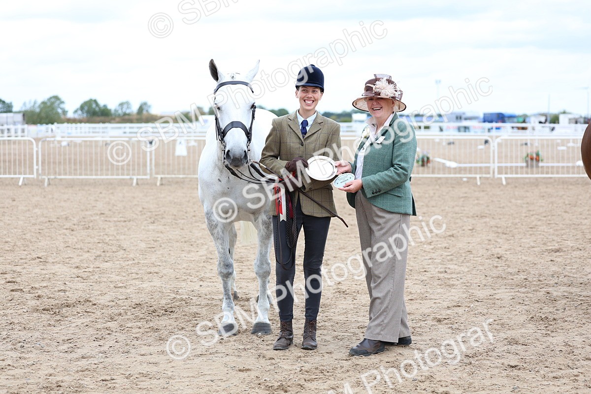 SBM_05789 - Class 28 - IH Veteran Horse