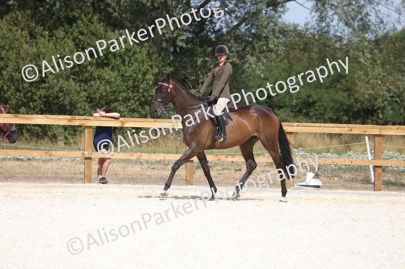 20260802-0718 - Class 8 - Best Riding Horse or Pony