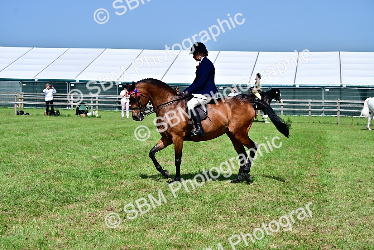 SBM_03744 - Class 58 - TSR  Ridden Veteran Amateur of the year