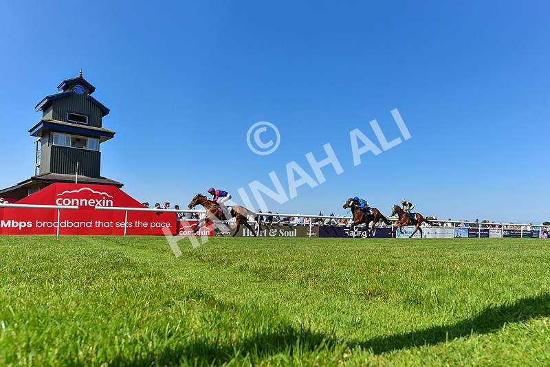 250624-Race 5-Drink Dry-9393 - Race 5