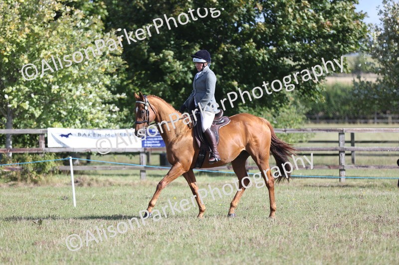20250831-0895 - Class 14 - Ex Racehorse
