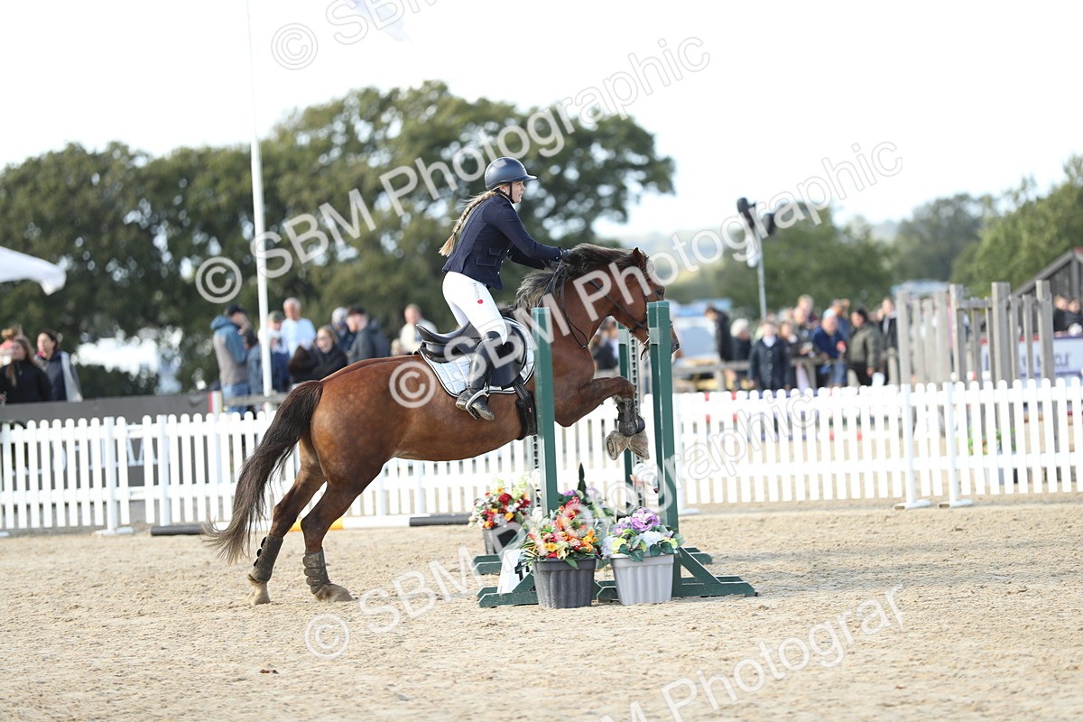 SBM_49534 - J22 - Junior Horse 65cm Championship
