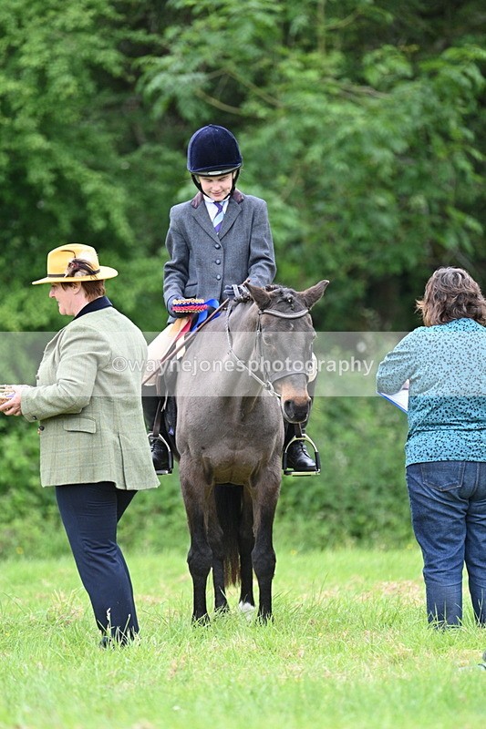 WJ7_4553 - Class 14B Prettiest Mare